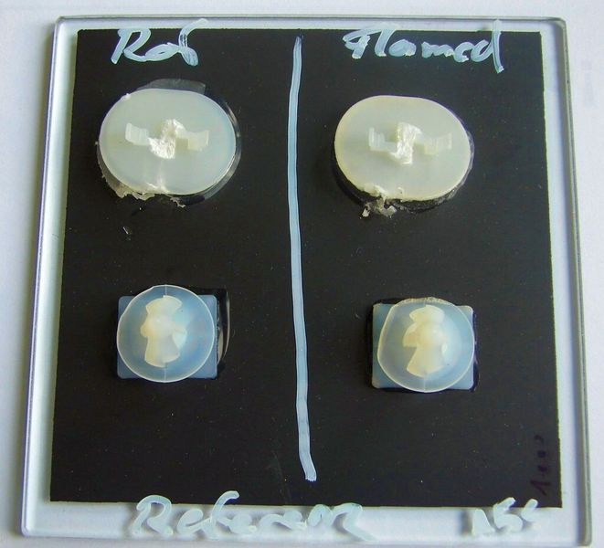 Aufgeklebte Clipse auf Musterglasscheiben mit keramischem Schwarzdruck nach zerstörender Festigkeitsprüfung, rechts Referenzprobe und links Probe nach Lagerung bei 40 °C / 98 % r. F. für 168 h (Bild: Delo)