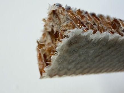 Flammenschutz wird nachhaltiger  Was aussieht wie ein Waffel-Keks ist tatsächlich ein neuer flammenhemmender Faserverbundstoff.  Flugzeuge und Passagierzüge müssen strenge Sicherheitsanforderungen erfüllen, unter anderem auch an den Brandschutz. Dafür sind Materialien gefragt, die flammhemmend, leicht, robust und skalierbar sind. Ein solches Material haben Empa-Forschende gemeinsam mit dem Industriepartner Elantas nun erstmals vollständig recycelbar gemacht: Mit dem richtigen Lösungsmittel und etwas Wärme lässt sich das „Sandwich“ aus Epoxid und Glasfasern wieder in seine einzelnen Komponenten zerlegen. Hier geht‘s zur Originalmeldung Wissenschaftsbild des Tages vom 8.9.2026 (Bild: Olivia Ringham, ColumEmpabia University Vagelos College of Physicians and Surgeons.)