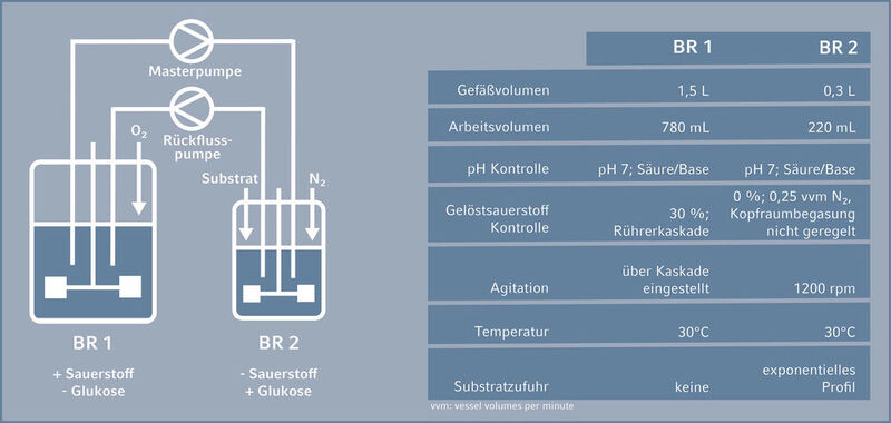 Abb. 2: Anordnung des Zwei-Kompartiment-Bioreaktorsystems und relevante Prozessparameter (Eppendorf)