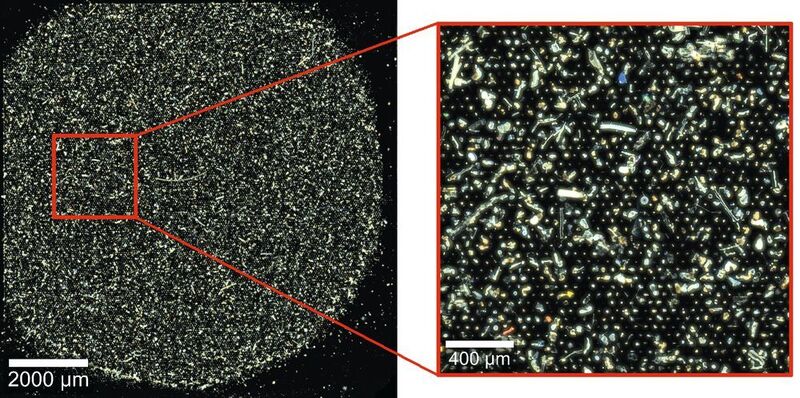Abb.2: Gefilterte Probe aus dem Schlamm einer Kläranlage, zur Verfügung gestellt von Dieter Fischer (Leibniz-Institut für Polymerforschung, Dresden); Dunkelfeldbild des ganzen Filters (links) und Vergrößerung des rot markierten Bereichs (rechts), 46 der ca. 18 000 Partikel wurden anhand ihrer Raman-Spektren als Mikroplastik identifiziert. (Witec)