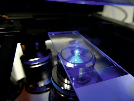 Abb.1: Biomedizinische Bildgebung ist nicht nur eine Frage von guten Mikroskopen, sondern auch von leistungsstarker Kameratechnik. Abb.1: Biomedizinische Bildgebung ist nicht nur eine Frage von guten Mikroskopen, sondern auch von leistungsstarker Kameratechnik.