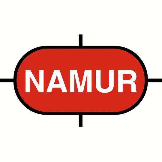 Die nachfolgende Namur-Empfehlung NE189 Frequenzumrichter kann ab sofort bezogen werden.(Logo: Namur)