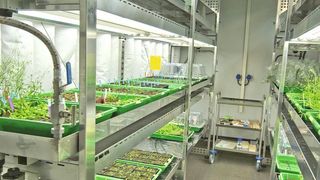 1	 Die enge Zusammenarbeit zwischen dem GMI, Tcon und Johnson Controls machte es möglich, jeden Quadrat-
zentimeter der Kammern so effizient wie möglich auszunutzen. (Bilder: Tcon) (Archiv: Vogel Business Media)