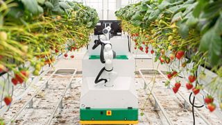 Roboter wie Berry wirken dem Arbeitskräftemangel entgegen: Der Roboter erntet bis zu 240 kg Erdbeeren pro Tag – und zwar nur die reifen Früchte mit dem höchsten Nährstoffgehalt. (Bild: Organifarms)