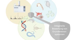 Abb.1: Integrierte Bewertung von Grundwasser durch chemische und effektbasierte Analysen mit paralleler Bewertung der Grundwasser-Biozönose (Bild: MWAS)