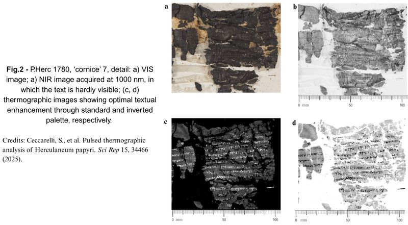 Das Verfahren arbeitet vollständig berührungslos und zerstörungsfrei. (Bild: S. Ceccarelli et al., SciRep 15, 34466 (2025) / www.flir.de)