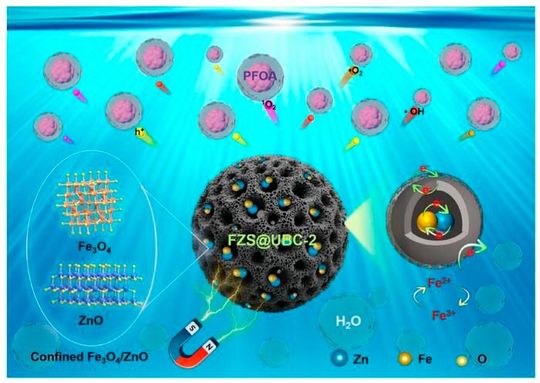 Cage-like ulva biochar confined synthesis of Fe₃O₄/ZnO heterojunction nanoparticles for synergistic adsorption and photocatalytic degradation of PFOA (Source:  Hua Jing et. al.)