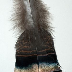 (Bild: Georg Oleschinski/Uni Bonn)