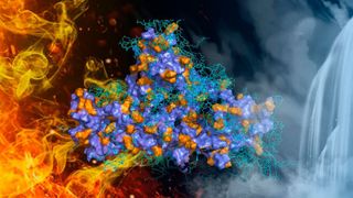 Eine außergewöhnlich enge Verzahnung der molekularen Komponenten trägt während des Aushärtens zu dem breiten Klebespektrum bei.  (Bild: Wiley-VCH)