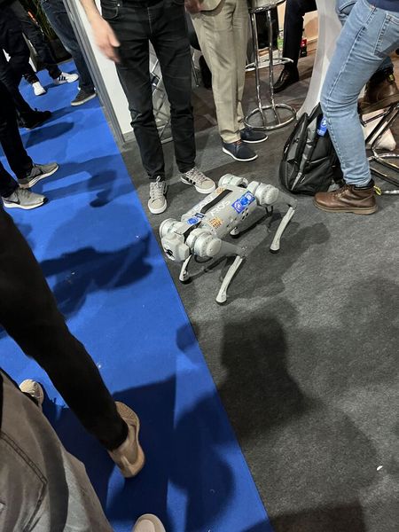 Der ferngesteuerte Roboterhund ist genauso brav wie der Mann hinter der Fernsteuerung. (Bild: IT-BUSINESS)