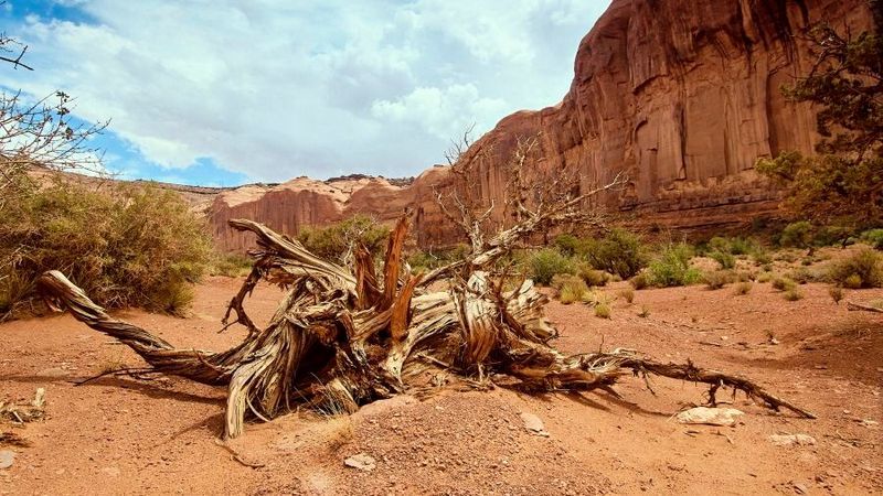 Der US-Bundesstaat Utah besteht zu einem Drittel aus Wüste. Jetzt soll hier das energie-intensivste Rechenzentrumsprojekt der Welt entstehen. (Bild:  Monument Valley /Pedro Szekely/szeke / CC BY-SA 2.0)