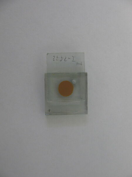 Abb. 8: Zelle mit Gegenelektrode (Bild: Universität Basel/Nik Hostettler)