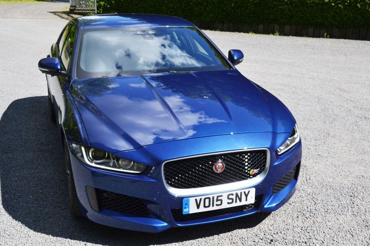 Am XE ist nicht nur alles neu, der Neue sieht auch noch gut aus. Ob von vorne... (Foto: Michel)