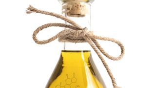 Abb. 1: Rohstoffe und Herstellungsbedingungen bringen es mit sich, dass Pflanzenöle mit Mykotoxinen, z.B. Aflatoxinen, belastet sein können. (Erich Muecke - stock.adobe.com)