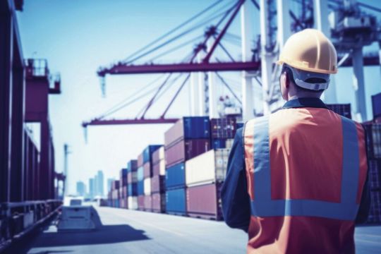 Die Descartes Systems Group hat den ersten von zwei Studienteilen zur Arbeitskräfteplanung veröffentlicht. Darin geht es vor allem um Ursachen und Wirkungen von Personalknappheit.(Bild:  Descartes Systems Group)