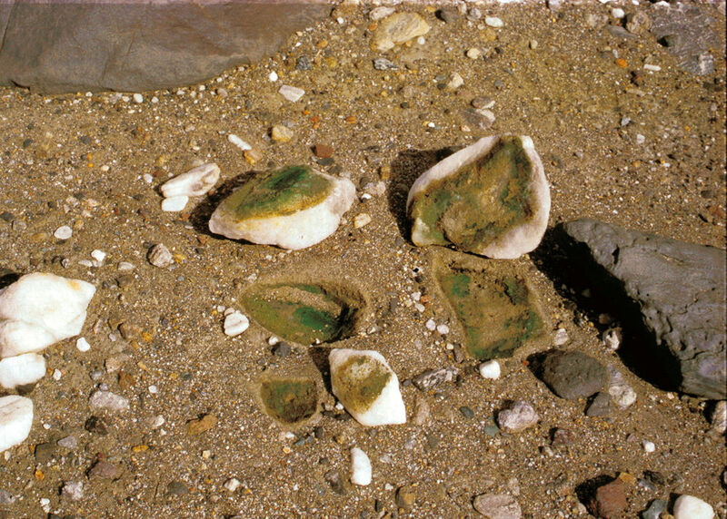 Unter Quarzstein entdeckte Blaugrüne Felskugeln (Chroococcidiopsis) in der Namib-Wüste Namibias, wo die Temperaturen auf dem Boden tagsüber auf weit über 50°C Grad klettern können. (Burkhard Büdel, TU Kaiserslautern)