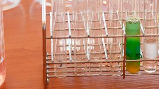 Viel zu tun für Forscherinnen und Forscher: Die Katalyse-Experten schreiben sich die UN-Nachhaltigkeitsziele auf die Agenda. (Bild: frei lizenziert)