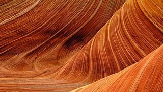 58847382v2 (Bild: Pixabay, CC0 Public Domain)