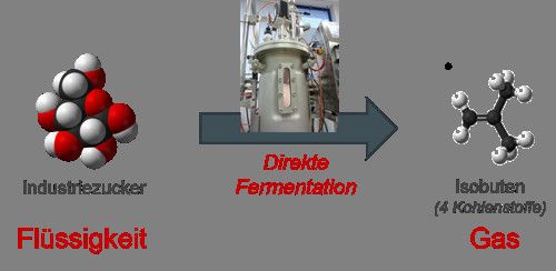 Ein großer Vorteil ist, dass im Fermentationsprozess ein gasförmiges Produkt entsteht – das erleichtert die Produktabtrennung. (Bild: Global Bioenergies)