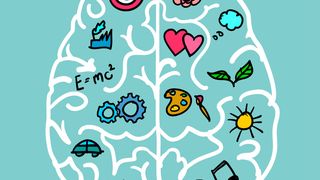 Die beiden Hirnhälften sind nicht vollständig symmetrisch. Einige Funktionen werden eher auf der linken Seite verarbeitet, andere eher auf der rechten. (Symbolbild) (Bild: KARL70 - stock.adobe.com)