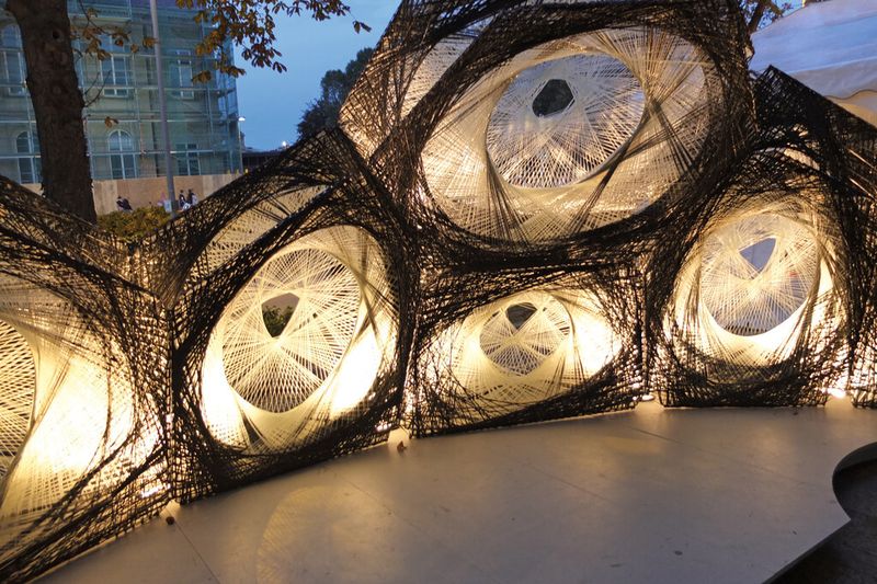 Die Deckflügelstruktur eines Käfers nahmen Forscher als Vorlage, um auch im Bauwesen durch faserverstärkte Komponenten Gewicht zu sparen. (Bild: Leichtbau BW)