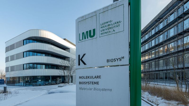 Am 16. September 2026 bemerkte die LMU einen Cyberangriff, bei dem ein IT-System mit Stammdaten von Studierenden gehackt wurde.(Bild:  LMU)