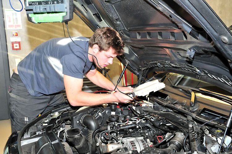 Als einziger Teilnehmer aus Liechtenstein war Fabian Britt angereist. Er sucht hier den Fehler in der Dieselelektronik eines BMW X1. (Foto: Schmidt)