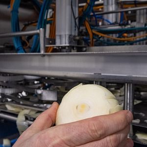 … und das Schneiden von Gemüse, wie Zwiebeln(Bild:  Wachendorff / Düpmann)