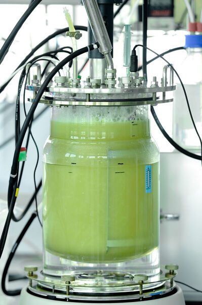 A lab size bioreactor based at Electrochaeas HQ in Munich Germany, filled with the Elec-trochaea archea. Its bigger brother is located close to Copenhagen with a power uptake of one megawatt. (Electrochaea)