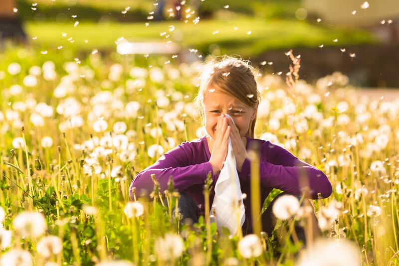 Frühjahrszeit ist Pollenzeit - doch die Erforschung von Allergien läuft das ganze Jahr über. (©Kzenon - stock.adobe.com)