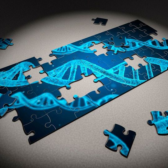 Thermo Fisher Scientific and the Taiwan Precision Medicine Initiative want to genotype one million people in Taiwan. Thermo Fisher Scientific and the Taiwan Precision Medicine Initiative want to genotype one million people in Taiwan.