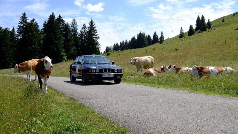 Langsam durch die Almwiesen: das Team »kfz-betrieb« Jürgen Beck und Oliver Kuhn mit ihrem BMW 730, Baujahr 1989 (Bild: Zietz – VCG)