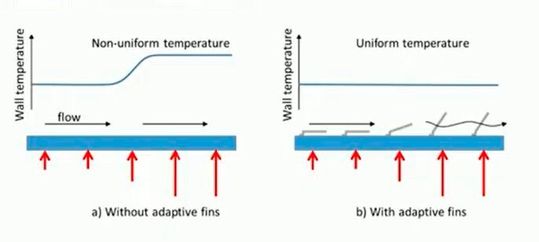 Flossen, die sich wie beim Fisch aufstellen könenn, stecken in den Mikrokanälen und heben sich da, wo es besonders heiß ist. Das beschleunigt den Abtransport der Wärme.(Bild:  UniSCool)