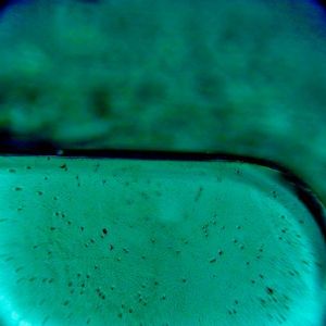 Das Bild zeigt in der Bildmitte die Laminat-Kante - unterhalb ist der Blick durch den gebondeten Optical Stack mit sichtbar gemachtem PSA-Kleber und dessen Eigenschaften: schwarze Stellen zeigen massgeblich Blasenbildung (mehr ist schlechter) und gelblich/beige umrandete Konturen zeigen Haftungs-Probleme.  (Bild:  Wammes und Partner)