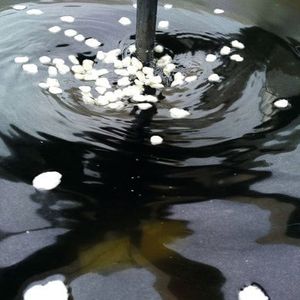 (Universität Koblenz-Landau)