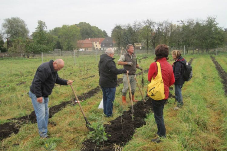 Jeder der 600 Wanderer pflanzte unter professioneller Anleitung einen Baum. (Foto: Auto Saxe)