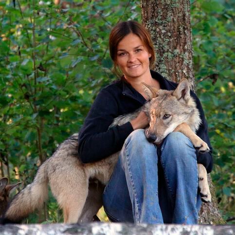 Dr. Christina Hansen Wheat and the young wolf Lemmy Dr. Christina Hansen Wheat and the young wolf Lemmy