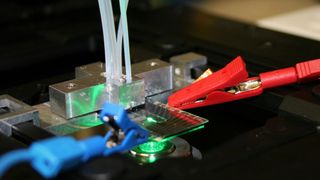 Prototyp einer membranlosen mikrofluidischen Brennstoffzelle bei der elektrochemischen und strömungsmechanischen Charakterisierung auf dem Mikroskop.  (TU Ilmenau/Wiebke Rösing)