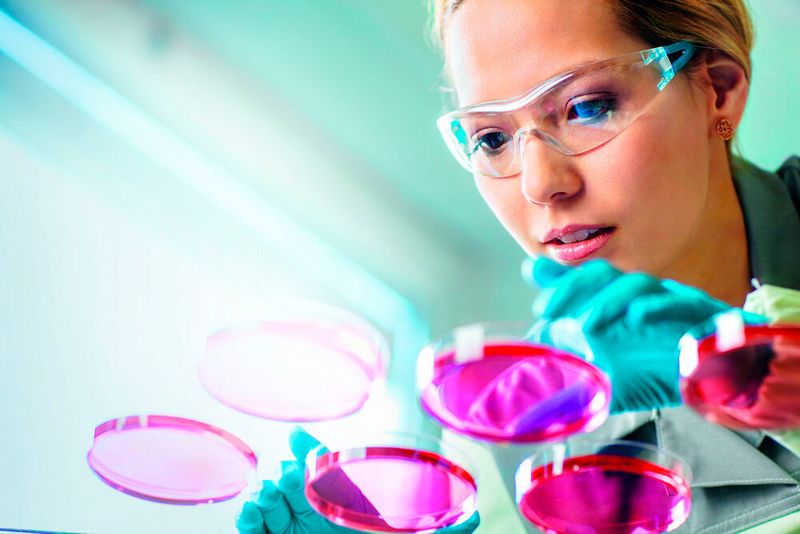 Bayer will in den kommenden drei Jahren rund zwei Milliarden Euro in sein Pharma-Netzwerk investieren. (Bayer)