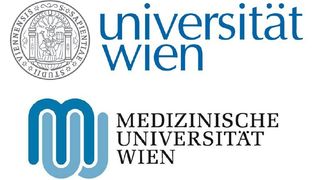 Abb. 1: Wiener Forscher konnten einen neuen "Schalter" des Immunsystems  identifizieren. (Logo: Universität Wien/Medizinische Universität Wien)