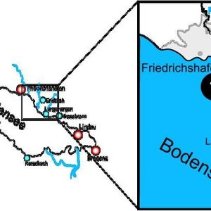 Abb. 1: Übersicht über die Probennahmestellen am Bodensee. Bereich 1: Rotachmündung, Bereich 2: Argenmündung, Bereich 3: Kressbronner Bucht.