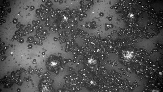 Die aus 6061-Aluminium additiv gefertigten und anschließend gesinterten Bauteile sind vollständig dicht. Sie besitzen eine höhere Festigkeit als Knetlegierungen. (Desktop Metal)