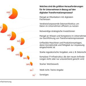 Herausforderungen im digitalen Transformationsprozess(Bild:  Relayr GmbH)