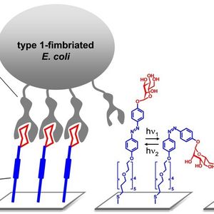 (Bild: Wiley-VCH Verlag GmbH & Co. KGaA. Reproduced with permission.)