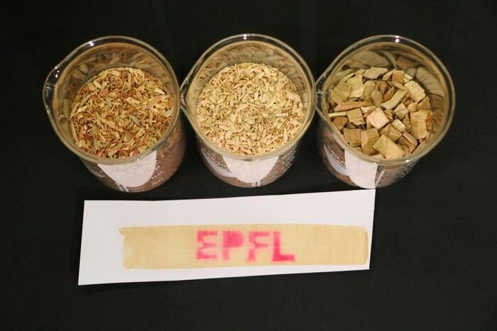 The EPFL logo printed in lignin-based thermal paper. (Source: 2025 EPFL/J. Luterbacher CC-BY-SA 4.0)