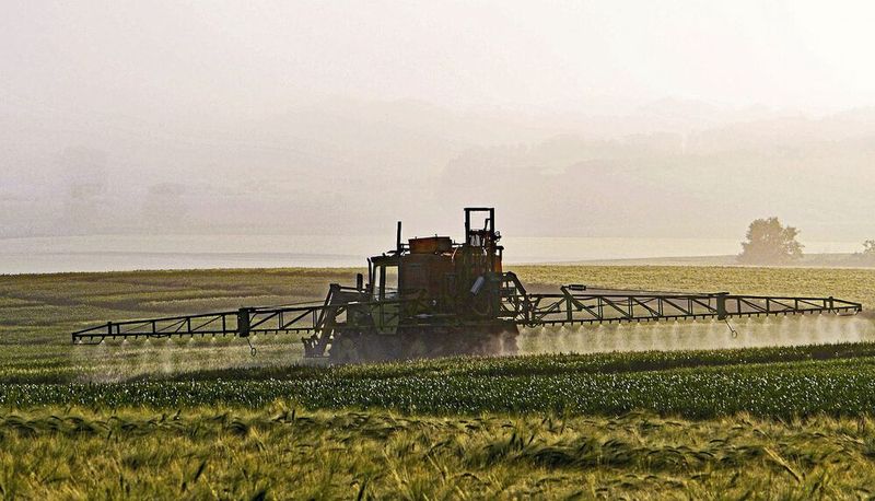 Platz 5: Glyphosat in Lebensmitteln - 45&nbsp;%  Nachdem eine möglicherweise krebserregende Wirkung von Glyphosat in den Medien diskutiert wurde, sollte das Pflanzenschutzmittel eigentlich bis 2024 von den Feldern verschwinden. Von Umweltverbänden und aus der Wissenschaft kommt teils deutliche Kritik an dem Stoff und auch fast die Hälfte der Befragten äußert ihre Besorgnis zu diesem Thema.  Details zum Unkrautbekämpfungsmittel und zum Verbot erfahren Sie in unserem Beitrag Zehn weitere Jahre für Glyphosat – Was es mit dem Mittel auf sich hat   (Bild: frei lizenziert)