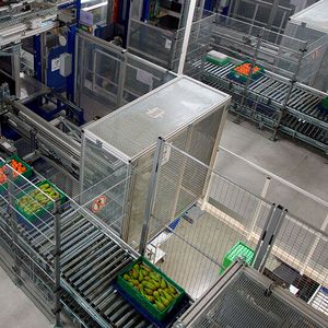 OPM/FPM: Filialgerechte Kommissionierung von breiten Frischesortimenten.(Bild:  Witron)