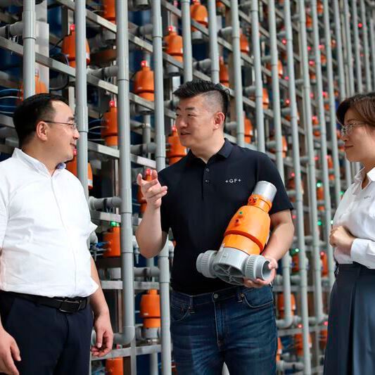 5.000 Ventile in sieben parallelen Ionenaustauschern ermöglichen die Produktion von biologisch abbaubaren Kunststoffen.(Bild:  GF Piping Systems)