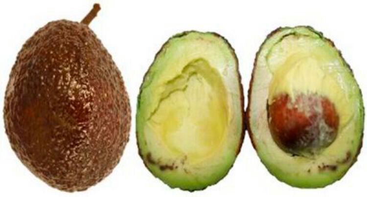 A chitosan-based coating (used on the fruits shown here) and a prediction technique could improve the quality of avocados.