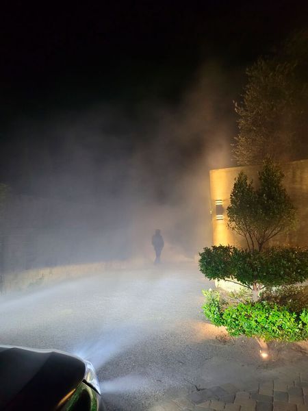 Bild 7: Die Wärmesensorsysteme von Magna sorgen auch bei Nebel für eine schnellere Erkennung von Fußgängern als Scheinwerfer.  (Bild: Stefanie Eckardt)